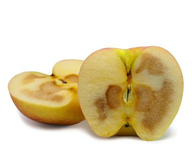 rotten apple fruit. (clipping path) clipart