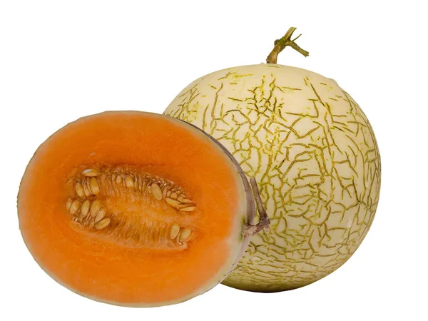 Kantaloupe-Melone. — Stockfoto