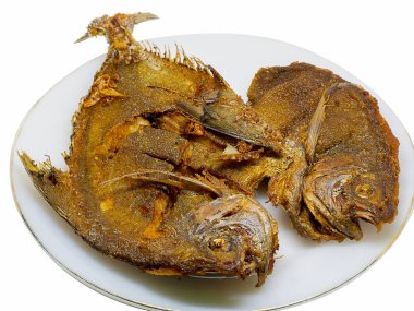 (Close Up) Kızarmış balık , Taze butterfish.