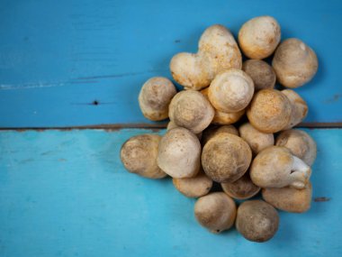 Tahta arka planda saman mantarı grubu.