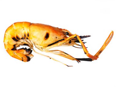 Izgara karides beyaz arka planda izole. 