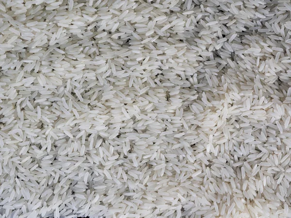 Κόκκος ρυζιού λευκός φυσικός για φόντο. — Φωτογραφία Αρχείου