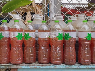 Tarımda kullanılan İyonik Enzim Plazmasının biyosentezi.