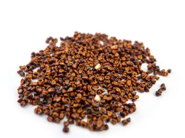 (Seçili odak) Kaktüs tohumları beyaz arkaplanda.