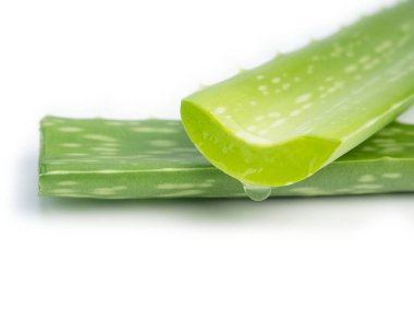 Aloe vera kesme yaprakları beyaz arkaplan üzerinde izole.