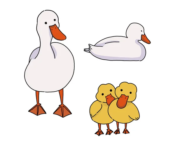 Dessin Animé Illustration Famille Duck Avec Des Poussins Canards — Photo