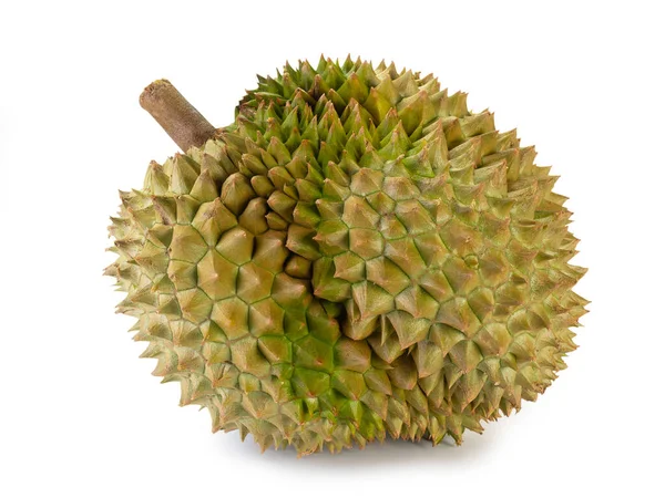 Fresh Durian Fruit Isolated White Background Has Clipping Path — Stock Photo, Image
