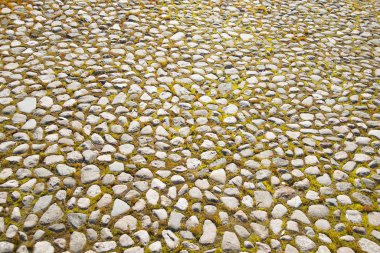 Yeşil taze bloklarla ciğeri bahar