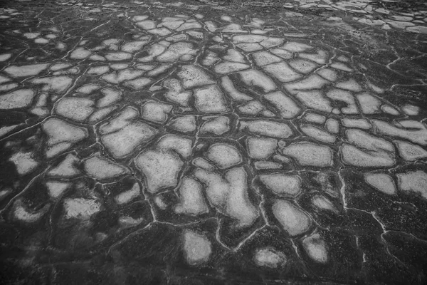 Zehirli toprak kuru kırık — Stok fotoğraf