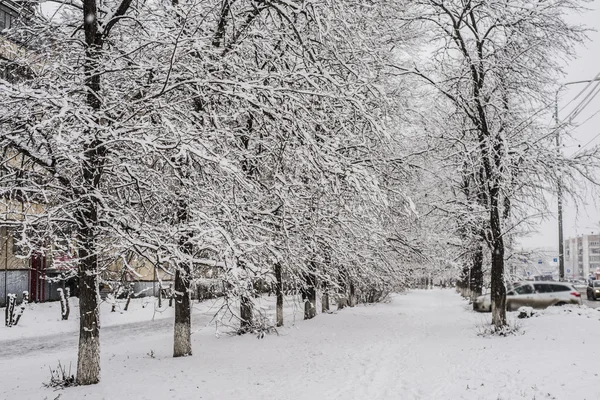 Winter park in blizzard. — Stockfoto