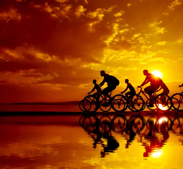 Silhuetas escuras de amigos desportivos em bicicletas — Fotografia de Stock