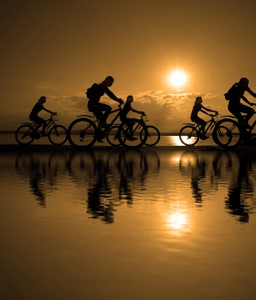 Dunkle Silhouetten sportlicher Freunde auf Fahrrädern — Stockfoto