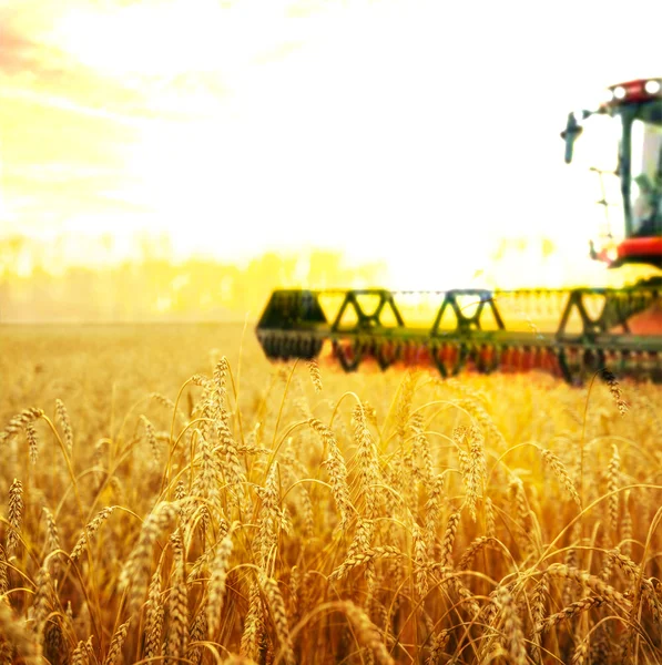 Harvesting machine on  field — Stock Photo, Image