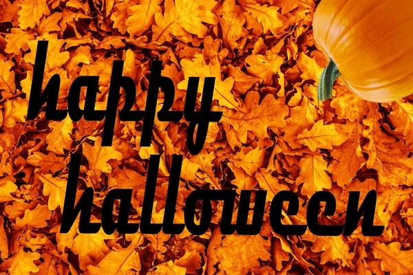 Šťastný halloween slova — Stock fotografie