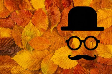 hipster yüz simgesi üzerinde bırakır