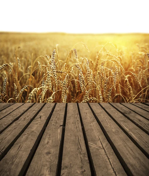 Стіл і вуха жовтої пшениці — стокове фото