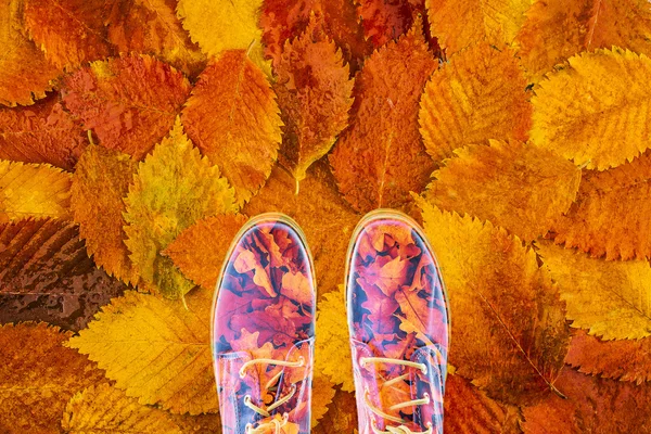 时髦的鞋子和秋天的落叶 — 图库照片