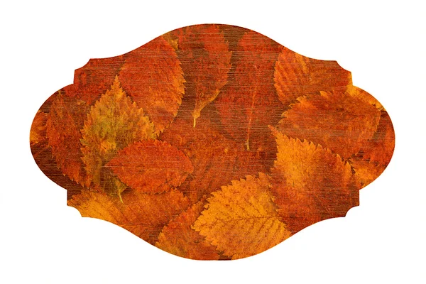 Autumn leaves label, board — Stockfoto