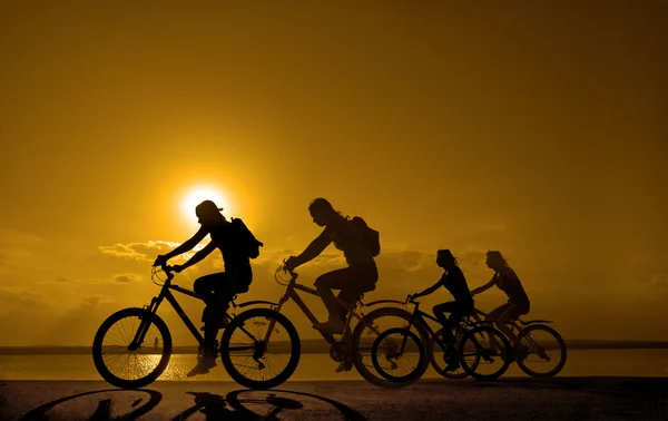 Εταιρεία των φίλων στα ποδήλατα σε εξωτερικούς χώρους — Φωτογραφία Αρχείου