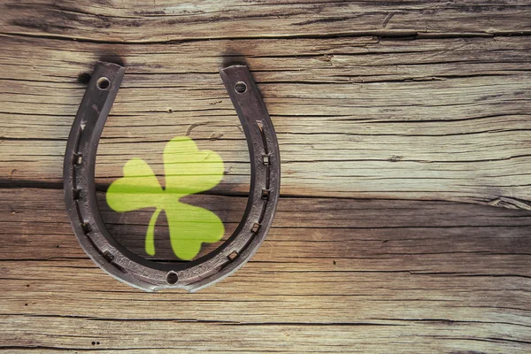 Metal horseshoe with green shamrock — Stock Photo, Image