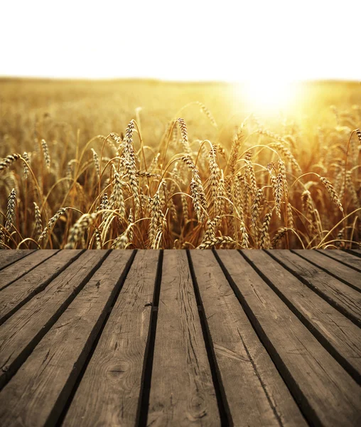 Стіл і вуха жовтої пшениці — стокове фото