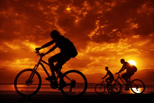 Companhia de amigos em bicicletas — Fotografia de Stock
