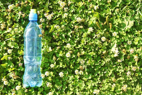 Голубая пластиковая бутылка на клевере — стоковое фото