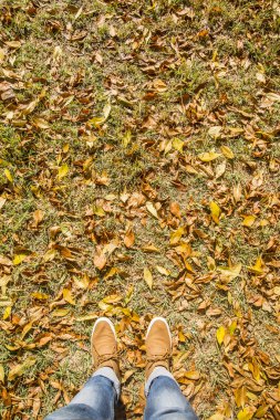 sonbahar yaprakları üzerinde duran Ayakkabı