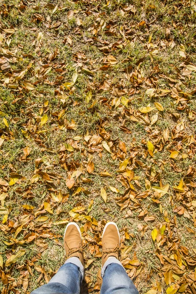Scarpe in piedi sulle foglie d'autunno — Foto Stock