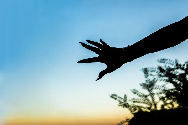 Silhouet van vrouwelijke hand met lange klauwen — Stockfoto