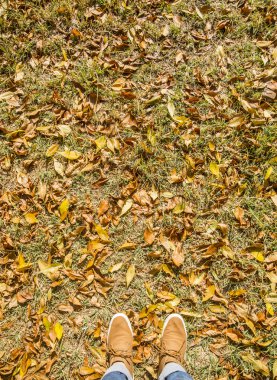sonbahar yaprakları üzerinde duran Ayakkabı