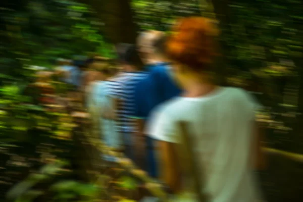 Hiking people walking in jungle forest