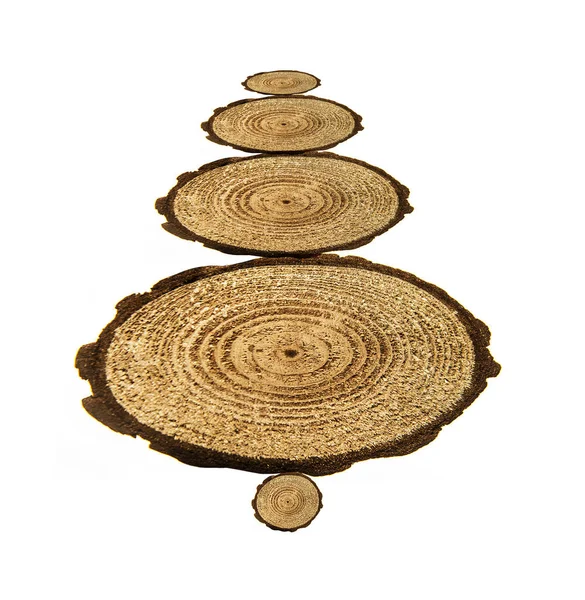 원형 나무 고리 — 스톡 사진