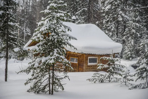 Casa de madera cubierta de nieve — Foto de Stock
