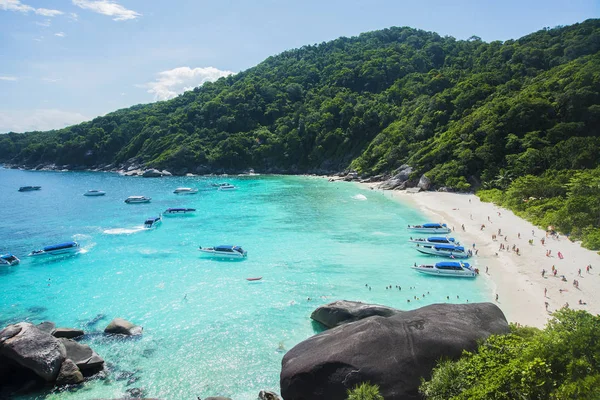 Bir koyda demirlemiş yat gezisi 