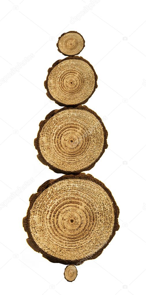 Circle wooden  rings 