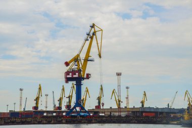 Rus bağlantı noktası Vinçler 