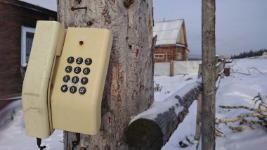  ahşap gövde üzerinde asılı telefon. 