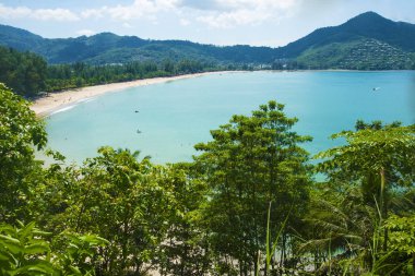  plaj, palmiye ağaçları, deniz