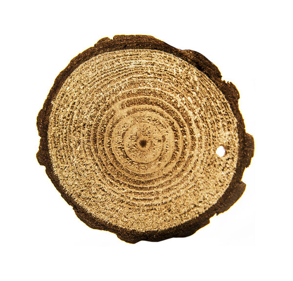 Circle wooden  ring 