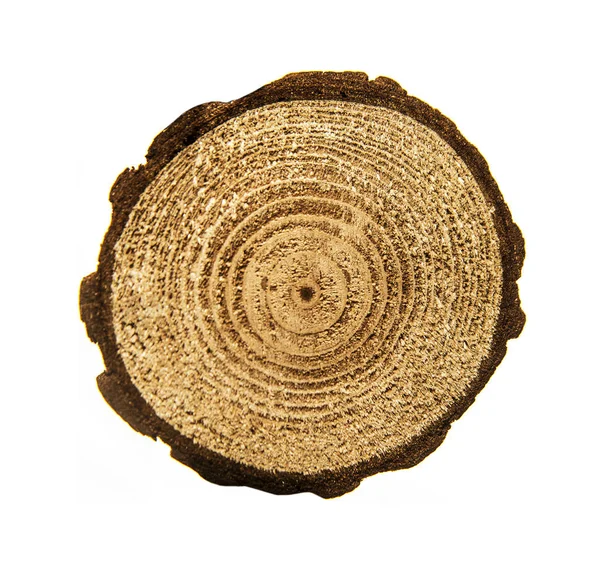 Anel de madeira círculo — Fotografia de Stock