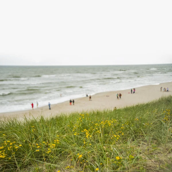 Pessoas na praia de areia branca — Fotografia de Stock