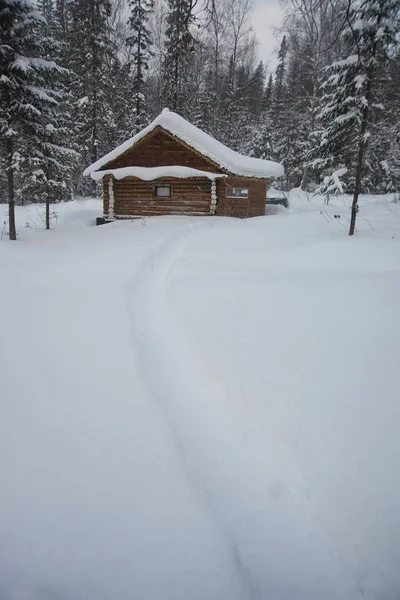 Casa en bosque de hadas de nieve . — Foto de Stock
