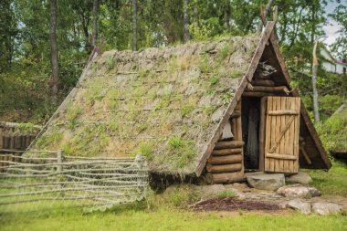 Yeşil çimenli ahşap ev