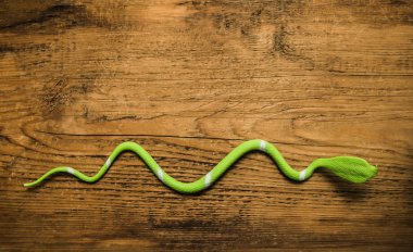 Green plastic artificial snake  clipart