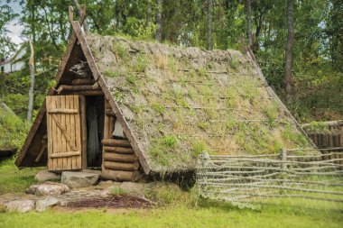 Yeşil çimenli ahşap ev