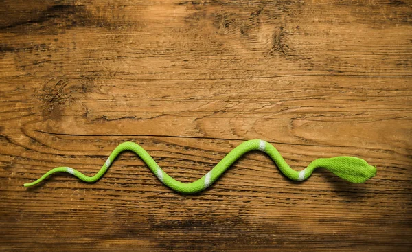 Yeşil plastik yapay yılan — Stok fotoğraf