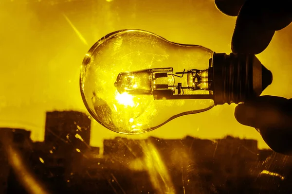 Electrical light bulb in hand — Stock Photo, Image