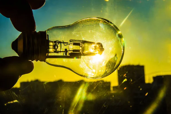 electrical light bulb in hand on blue sky background. sunny day