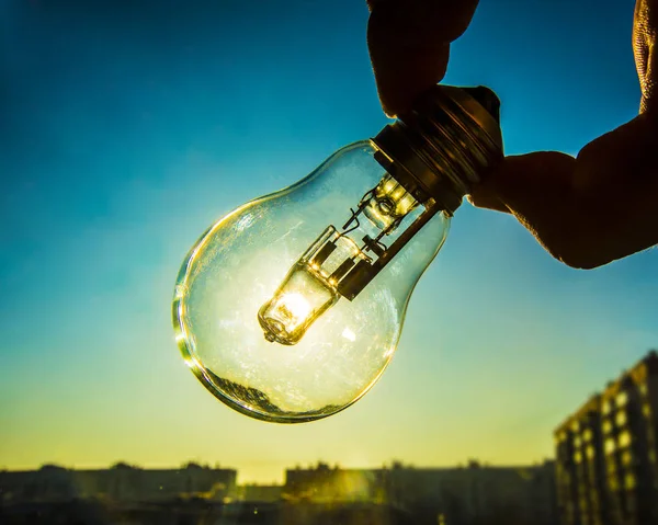 Electrical light bulb in hand — Stock Photo, Image